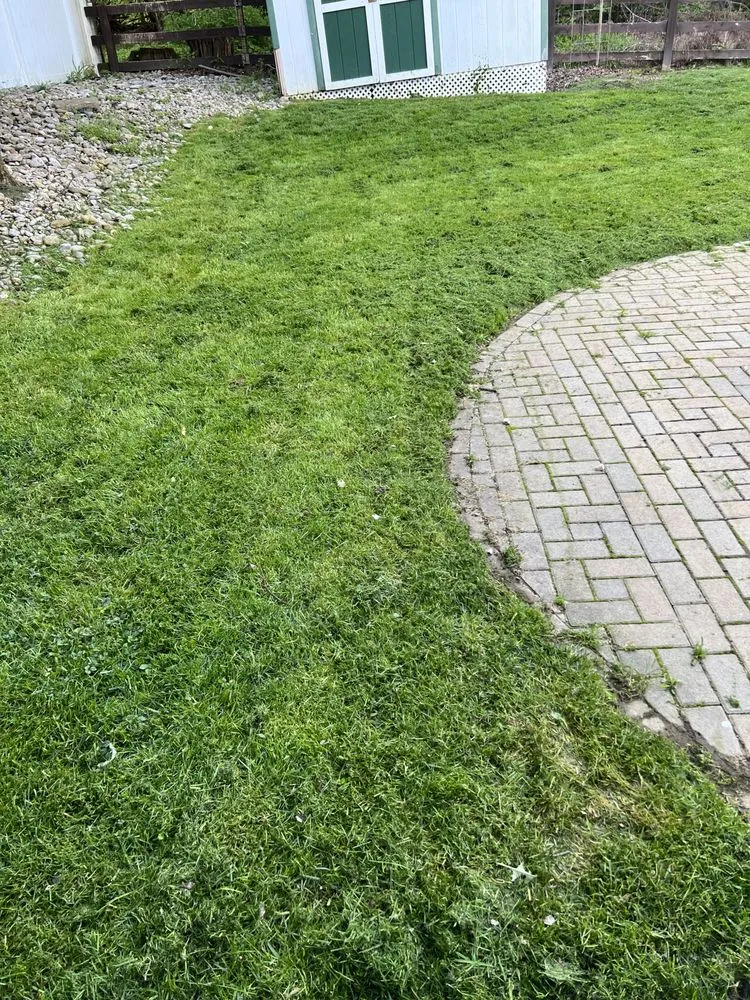 Professional landscaping services for beautiful yards in Cincinnati, OH by A2Z 513