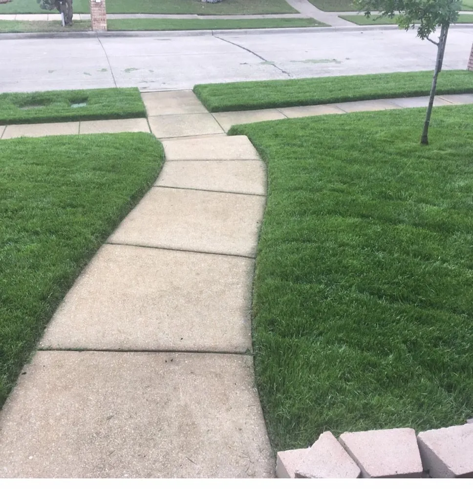 Top-rated yard cleanup service in Cincinnati, OH by A2Z 513