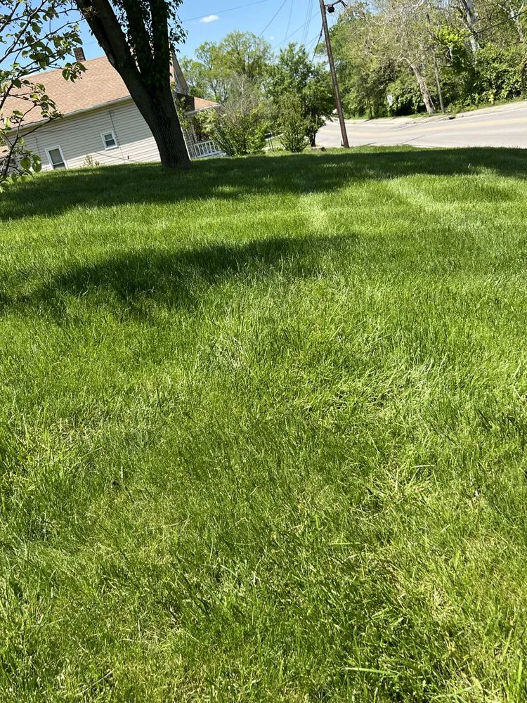 Custom yard maintenance in Cincinnati, OH by A2Z 513