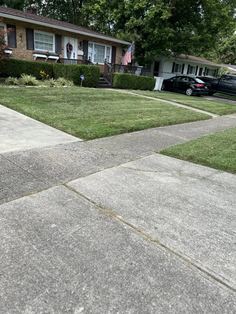 Custom yard cleanup service experts serving Cincinnati, OH - A2Z 513