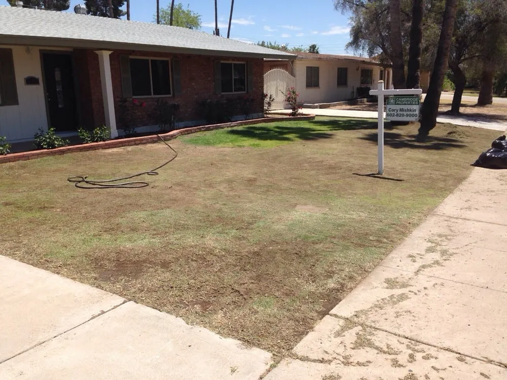 Top-rated garden landscaping in Gilbert, AZ by A2Z Exteriors Landscape Designs & Installs