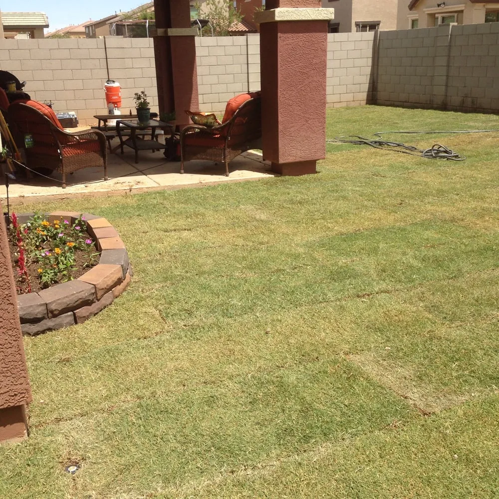 Custom residential landscaping in Gilbert, AZ - A2Z Exteriors Landscape Designs & Installs