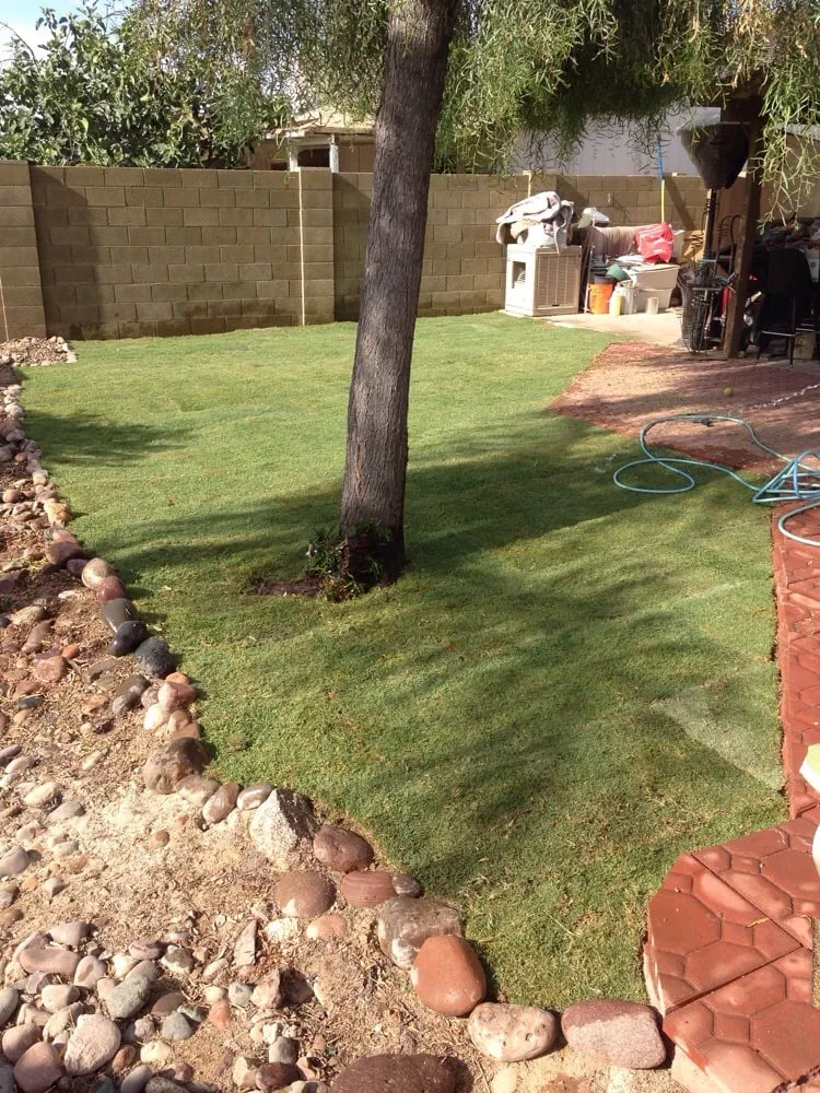 Affordable lawn mowing service in Gilbert, AZ by A2Z Exteriors Landscape Designs & Installs