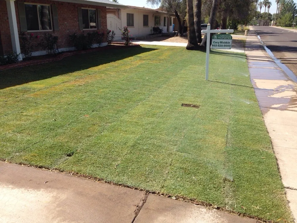 Top-rated residential landscaping for outdoor upgrades across Gilbert, AZ - A2Z Exteriors Landscape Designs & Installs