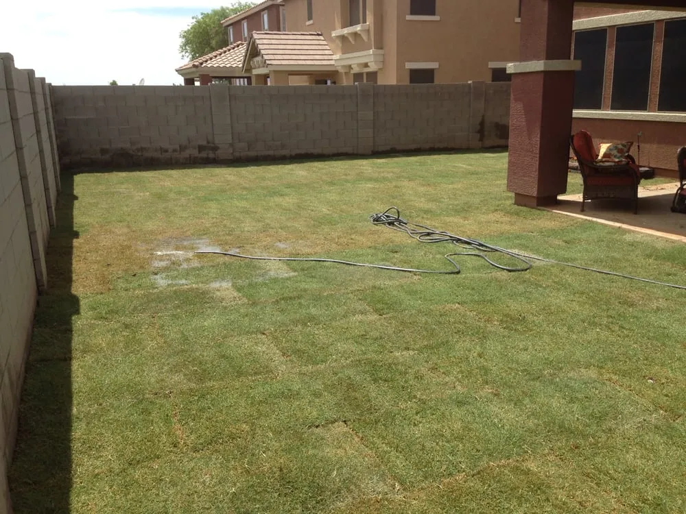 Local lawn care service in Gilbert, AZ by A2Z Exteriors Landscape Designs & Installs
