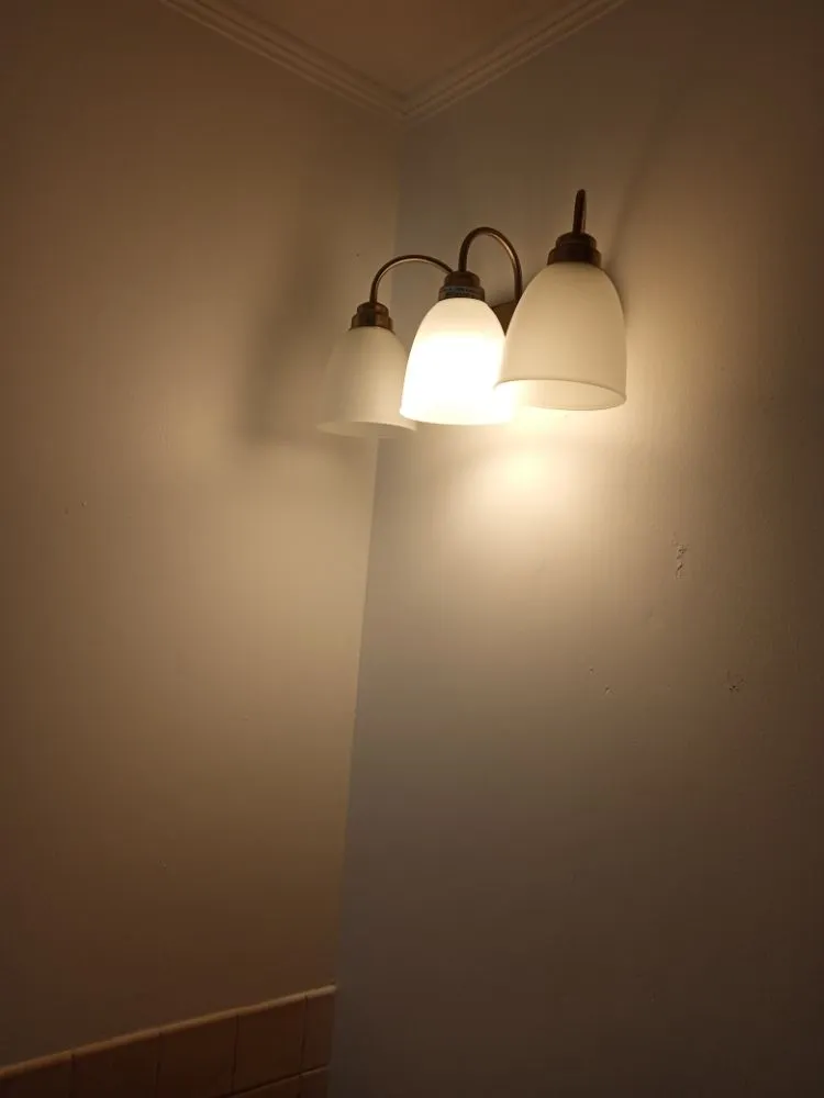 Trusted landscaping services near you across Jacksonville, FL - A2z Handyman & Landscaping