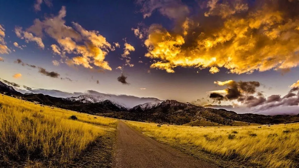 Local landscape installation in Mesa, AZ - A2Z Handyman Services