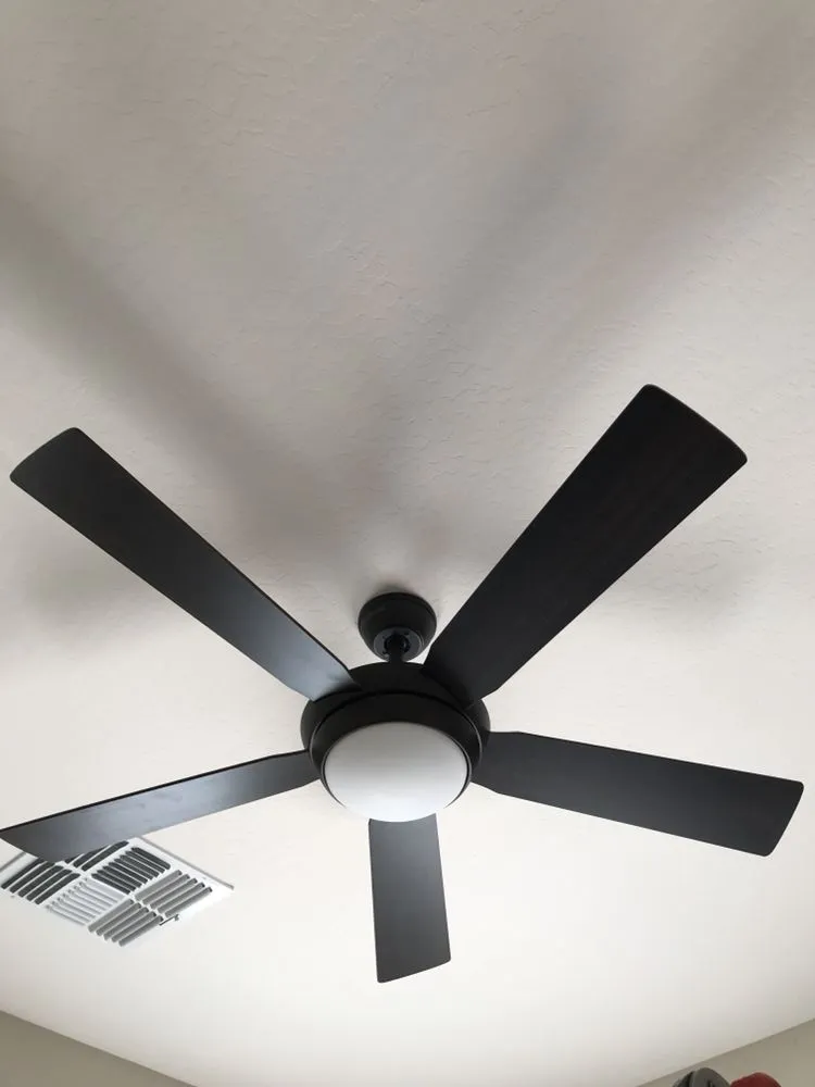 Top-rated yard cleanup service for beautiful yards across Mesa, AZ - A2Z Handyman Services