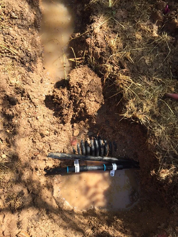 Top-rated yard cleanup service in Mesa, AZ by A2Z Handyman Services