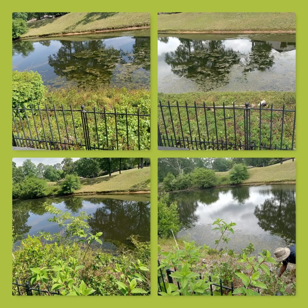 Reliable lawn mowing service for year-round maintenance across Aiken, SC - A2Z Laborers & Landscaping