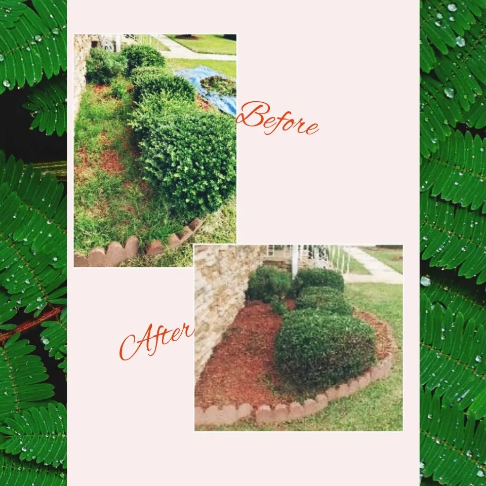 Reliable landscaping services in Aiken, SC by A2Z Laborers & Landscaping