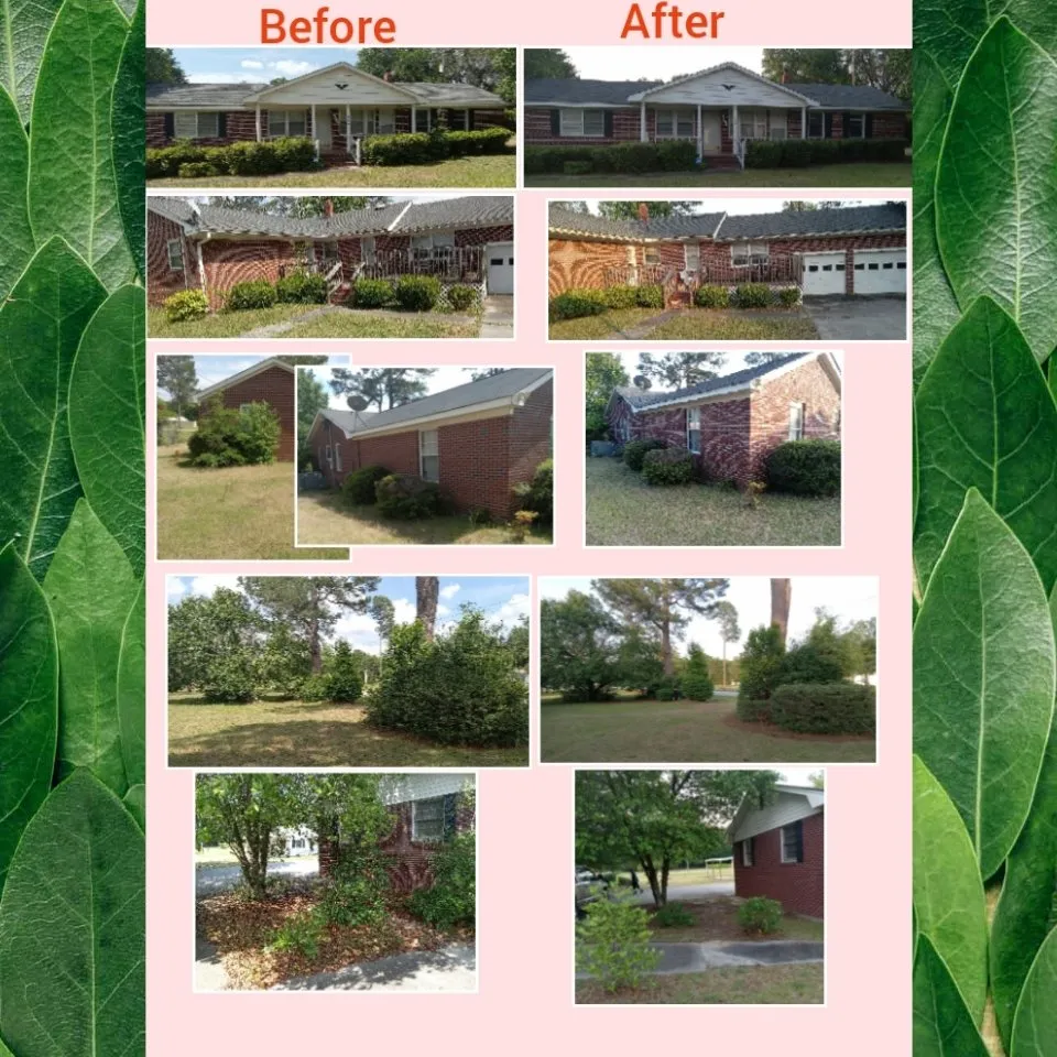 Local residential landscaping experts serving Aiken, SC - A2Z Laborers & Landscaping