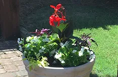 Professional lawn care service for residential properties across Auburn, AL - A2Z Land Creations