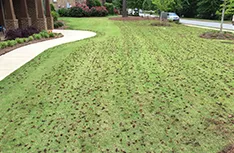 Custom yard cleanup service for homes across Auburn, AL - A2Z Land Creations