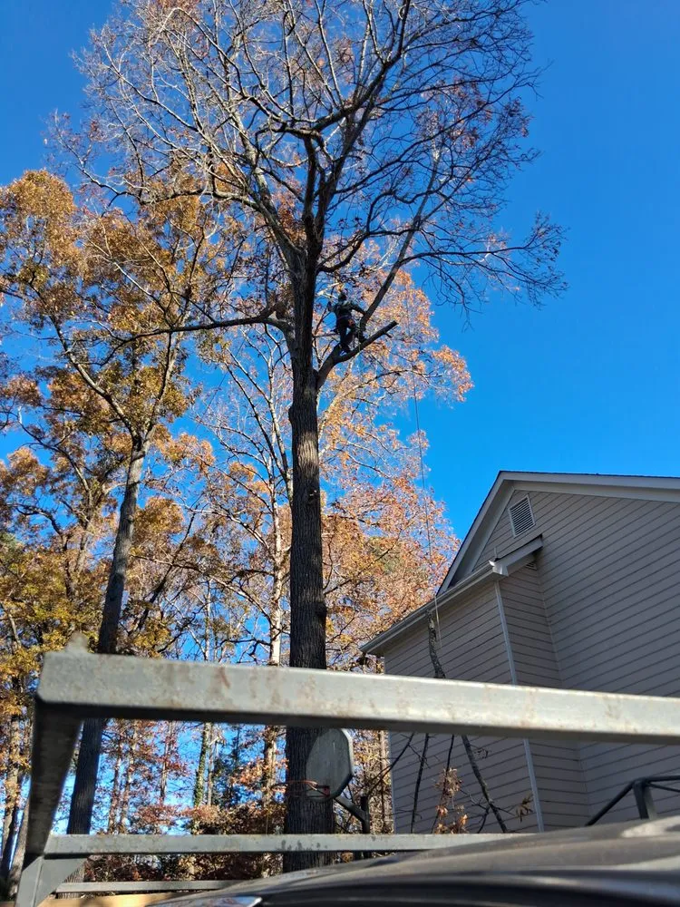 Professional landscape design for homes in Louisa, VA by A2Z Lawn and Home Needs