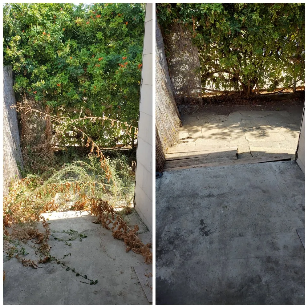 Custom yard cleanup service for homes across San Gabriel, CA - A2Z LAWN CARE