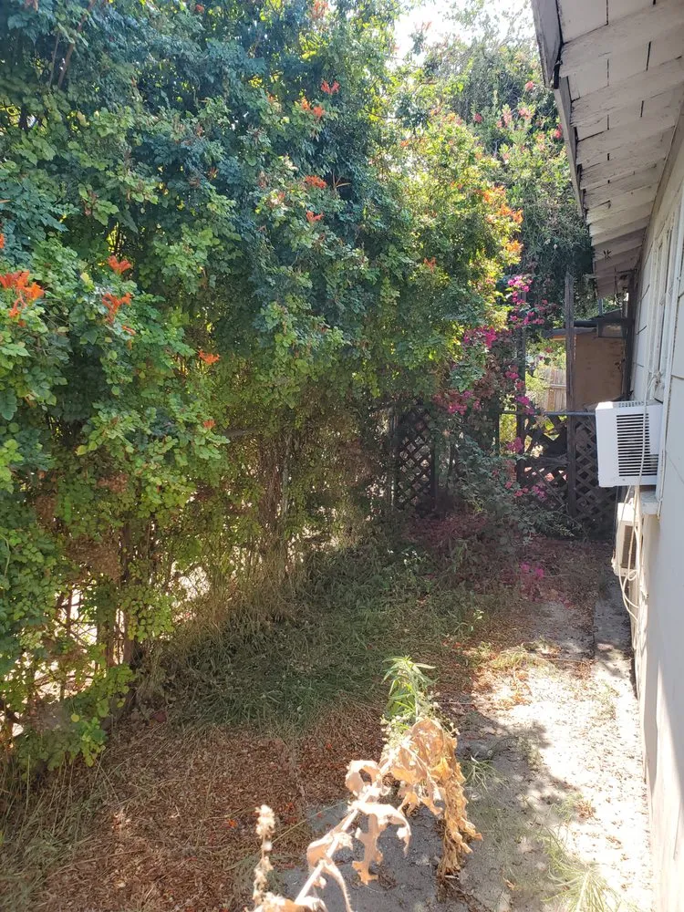 Affordable landscaping services for beautiful yards across San Gabriel, CA - A2Z LAWN CARE