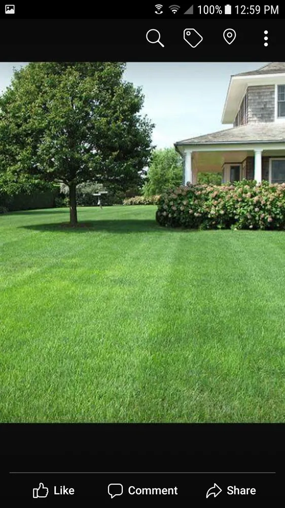 Affordable yard maintenance experts serving Rock Hill, SC - A2Z Lawn Maintenance & Landscaping