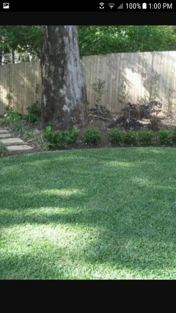 Affordable yard cleanup service experts serving Rock Hill, SC - A2Z Lawn Maintenance & Landscaping
