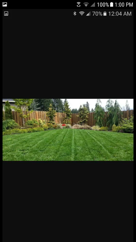 Trusted yard cleanup service in Rock Hill, SC by A2Z Lawn Maintenance & Landscaping