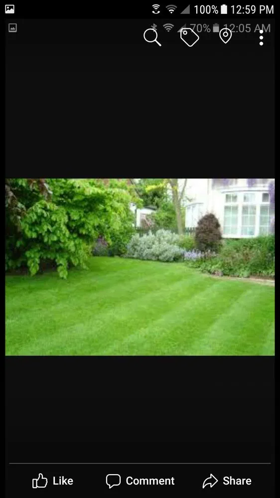 Custom yard cleanup service in Rock Hill, SC by A2Z Lawn Maintenance & Landscaping