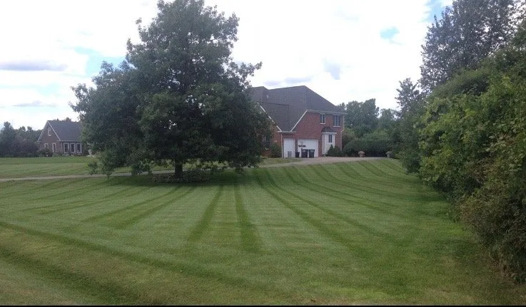 Reliable lawn mowing service experts serving Ann Arbor, MI - A2Z Lawn Services