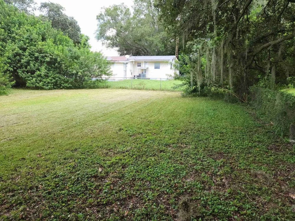 Custom landscape design experts serving Lakeland, FL - A2Z Lawncare Professionals