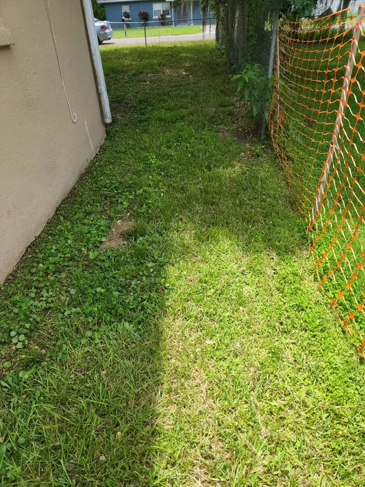 Custom residential landscaping for residential properties across Lakeland, FL - A2Z Lawncare Professionals