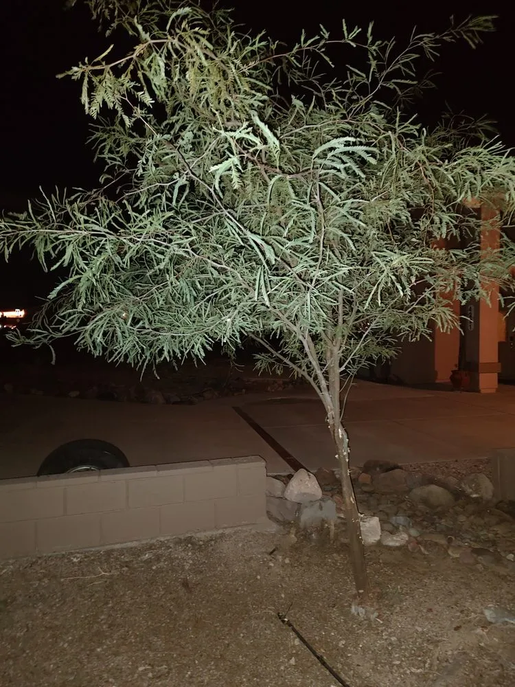 Trusted lawn mowing service in Fort Mohave, AZ by A2Z Professional Yard and Tree Care