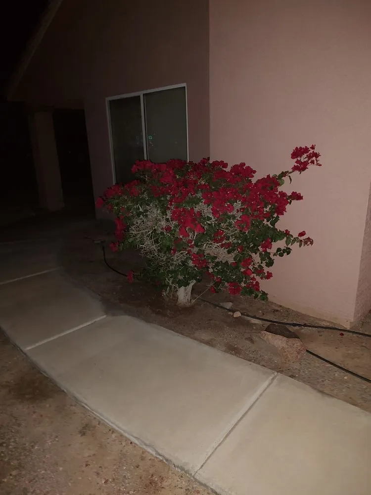 Reliable landscape design near you in Fort Mohave, AZ by A2Z Professional Yard and Tree Care