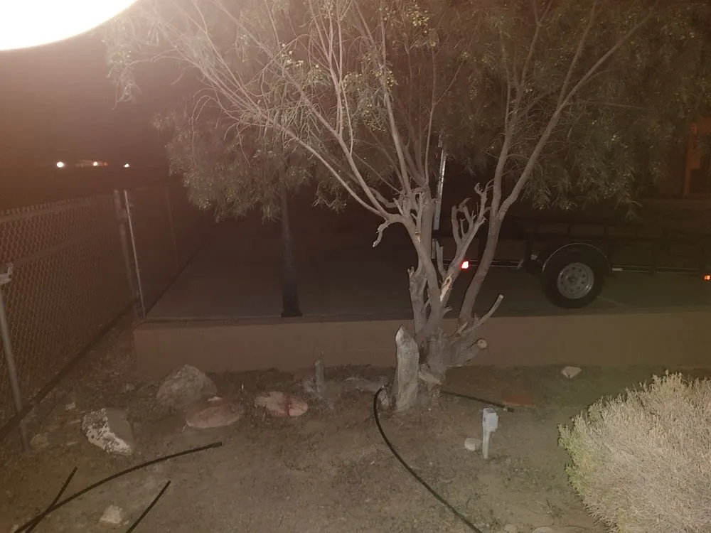 Expert garden landscaping near you in Fort Mohave, AZ by A2Z Professional Yard and Tree Care