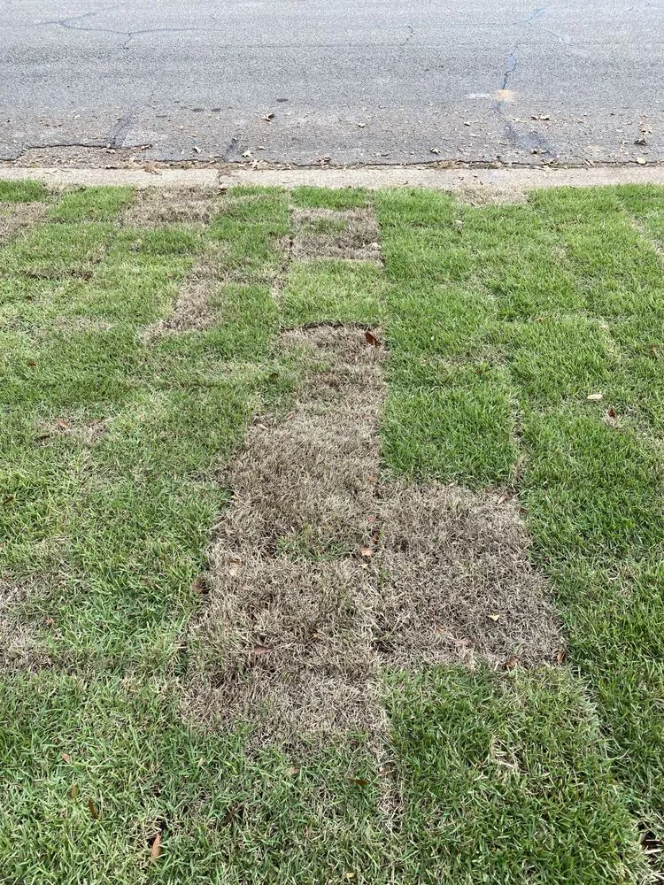 Affordable yard maintenance for residential properties across Tyler, TX - A3 Grass & Stone