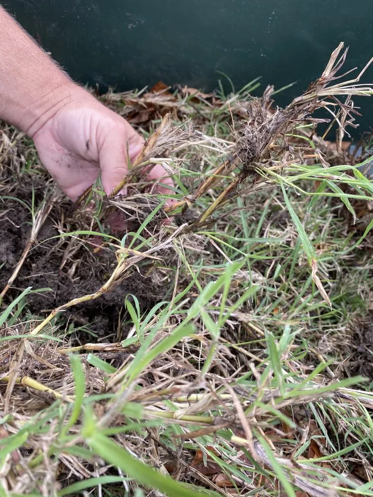 Local landscape installation experts serving Tyler, TX - A3 Grass & Stone