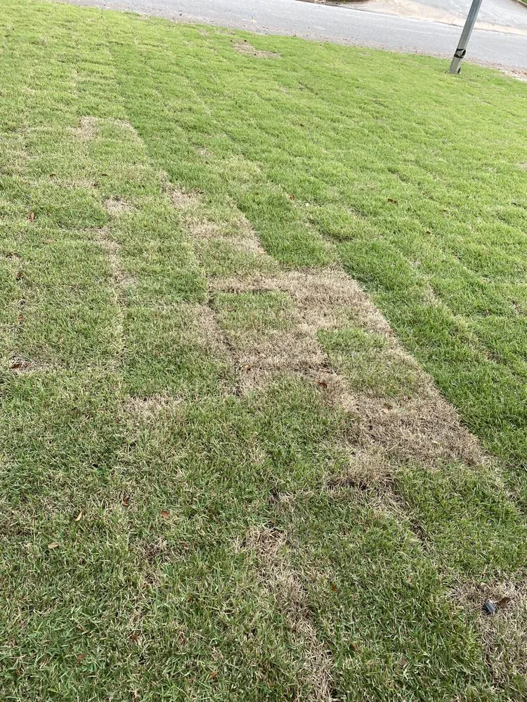 Top-rated lawn mowing service experts serving Tyler, TX - A3 Grass & Stone