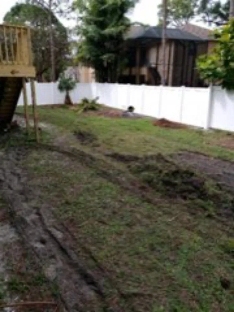Local landscaping services in Tampa, FL by A3 Yard Doctor