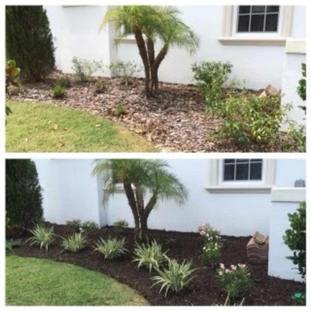 Expert outdoor landscaping for beautiful yards in Tampa, FL by A3 Yard Doctor