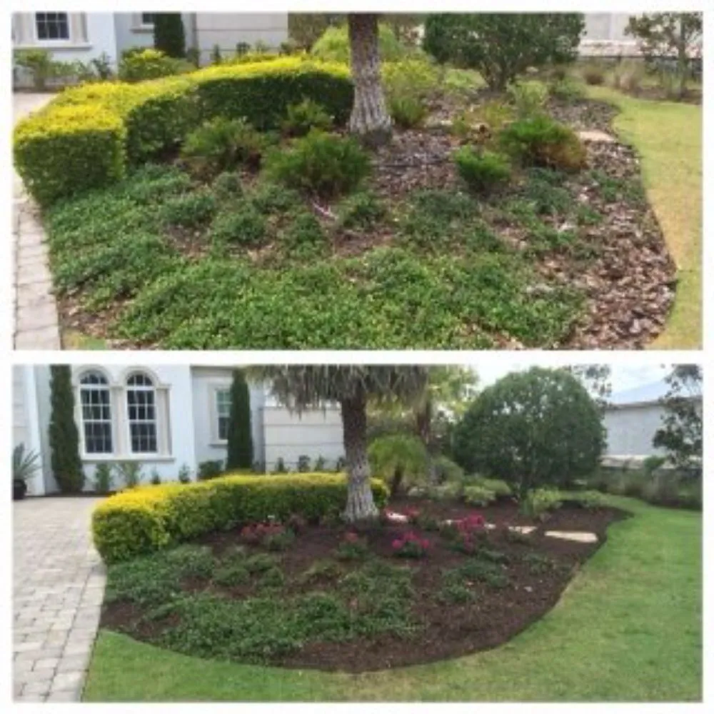 Local residential landscaping for year-round maintenance in Tampa, FL by A3 Yard Doctor