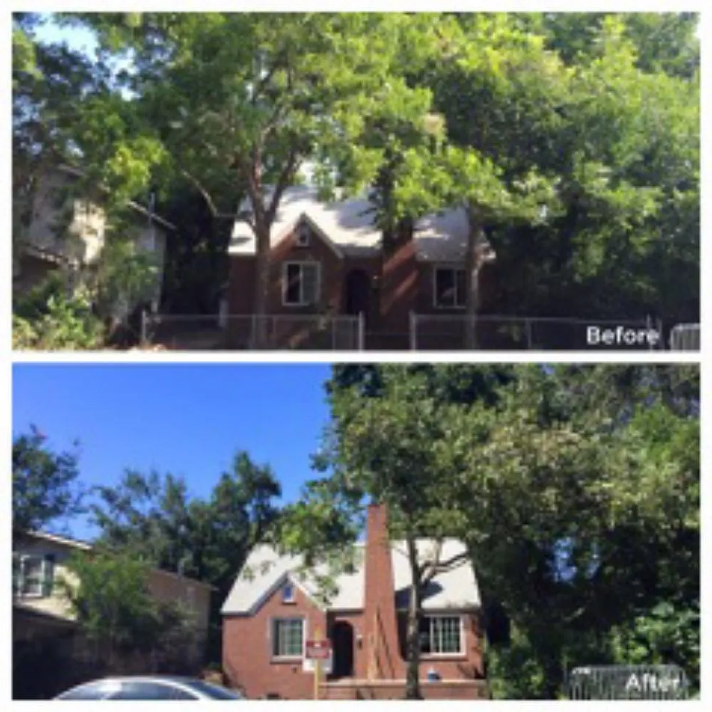 Expert lawn care service in Tampa, FL by A3 Yard Doctor