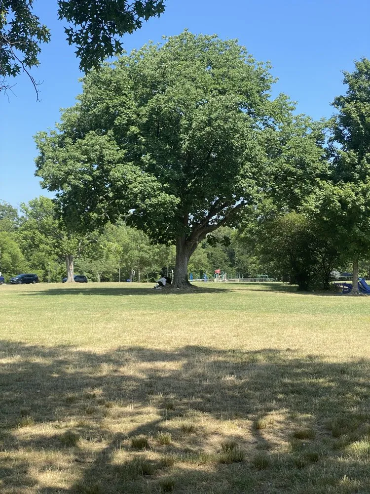 Expert garden landscaping in Virginia Beach, VA by A9 Versatile Services