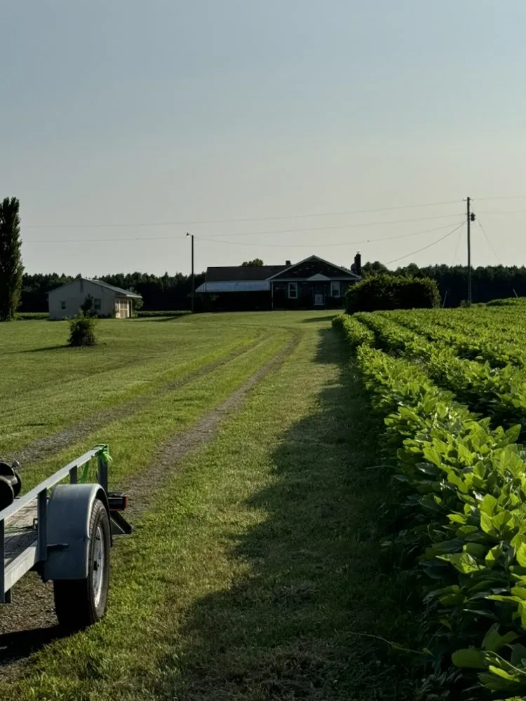 Trusted lawn mowing service for homes in Virginia Beach, VA by A9 Versatile Services