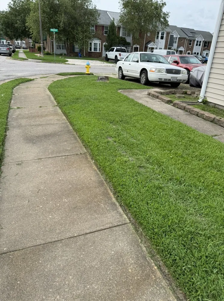 Affordable landscape design experts serving Virginia Beach, VA - A9 Versatile Services