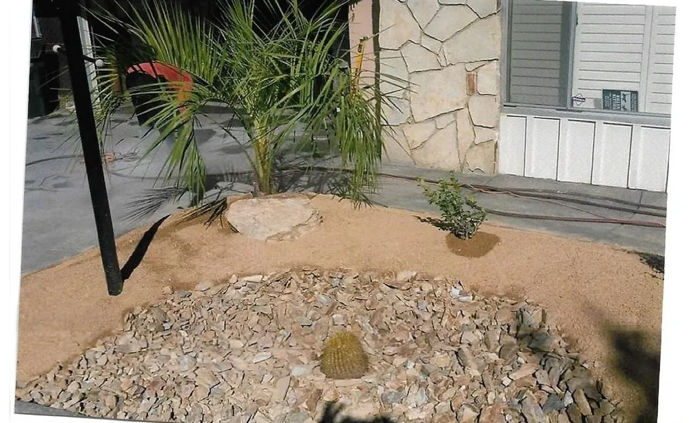 Professional yard maintenance in Hesperia, CA - A&A Affordable Landscaping