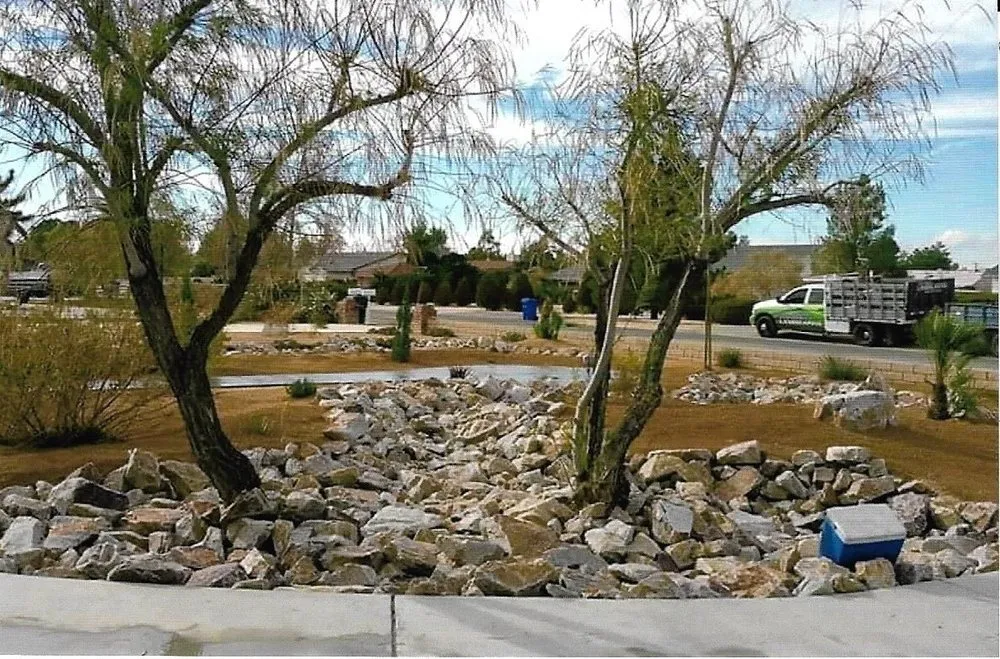 Reliable landscape design in Hesperia, CA by A&A Affordable Landscaping