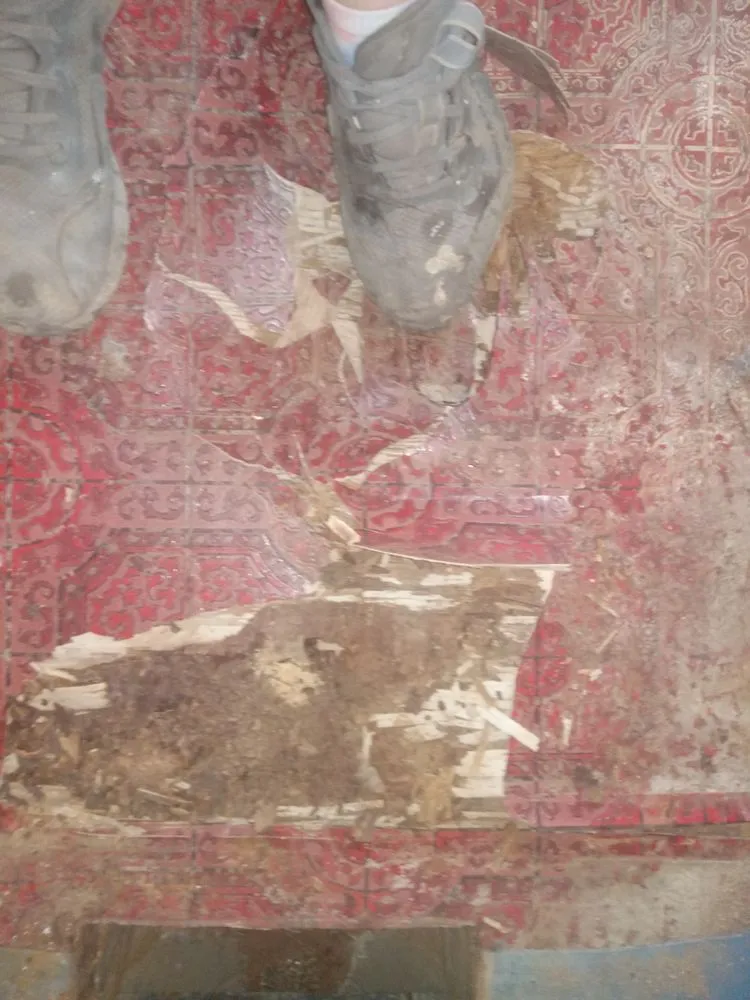 Reliable garden landscaping for beautiful yards across Park Hills, MO - A&A Handyman Services