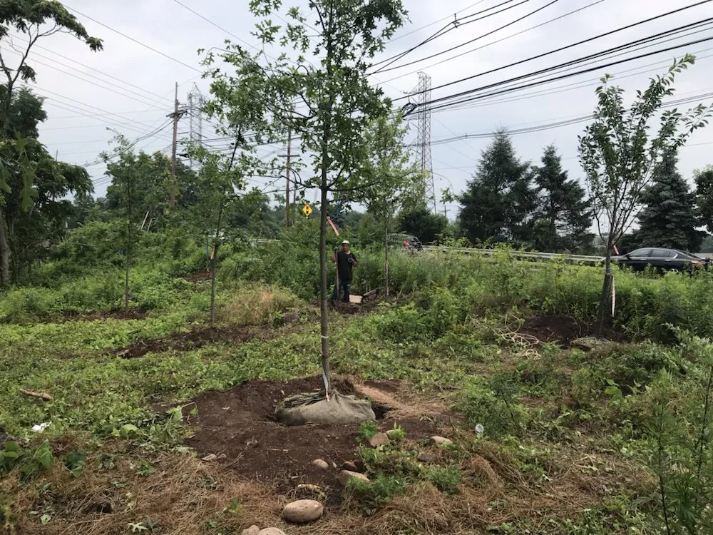Professional yard maintenance in Bound Brook NJ, NJ - A&A Home Design