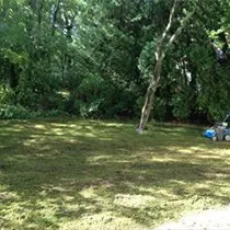 Reliable yard cleanup service experts serving Wilton, CT - A&A Industrial