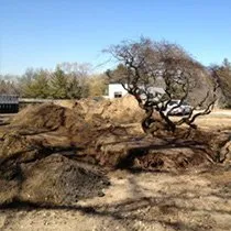 Expert landscape design for homes across Wilton, CT - A&A Industrial