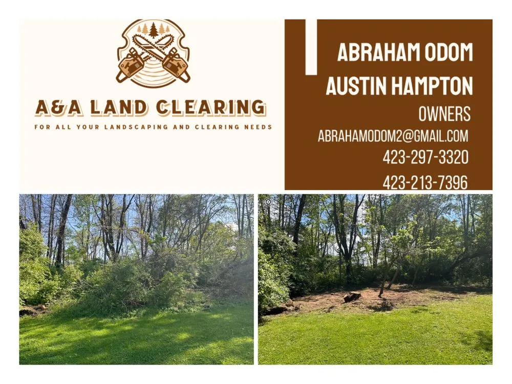 Expert yard maintenance for outdoor upgrades across Kingsport, TN - A&A Land Clearing