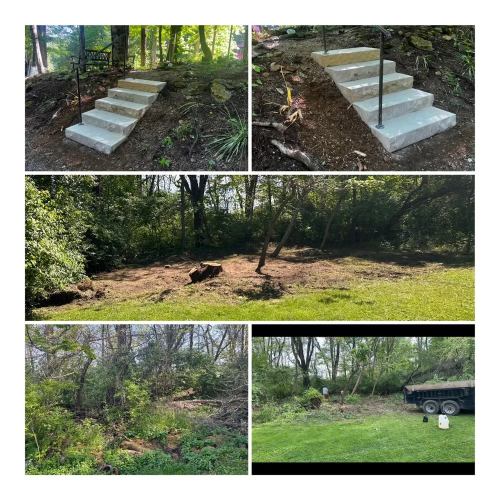 Reliable yard cleanup service in Kingsport, TN by A&A Land Clearing