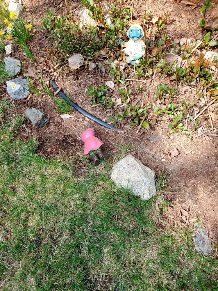 Trusted yard maintenance experts serving Pepperell, MA - AA Landscape Concepts